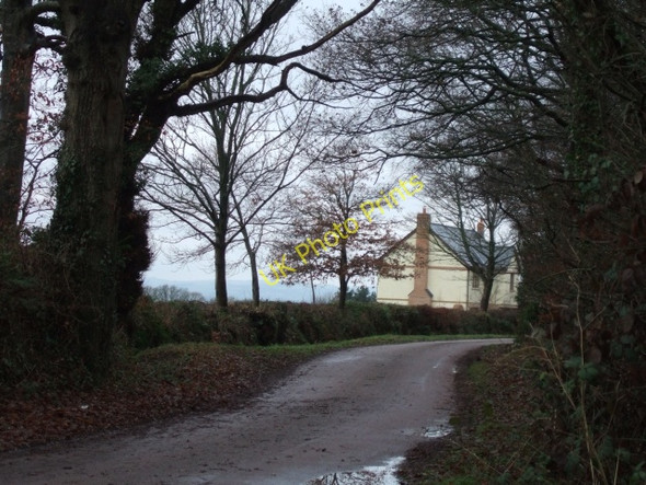 Photo 6"x4" Road to Aller on Kentis Moor Aller\/ST0506 c2011
