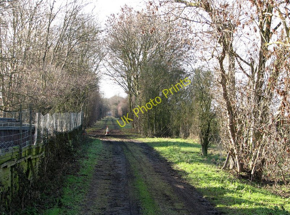 Photo 6"x4" Trackbed of the Mildenhall branch line Fen Ditton c2011