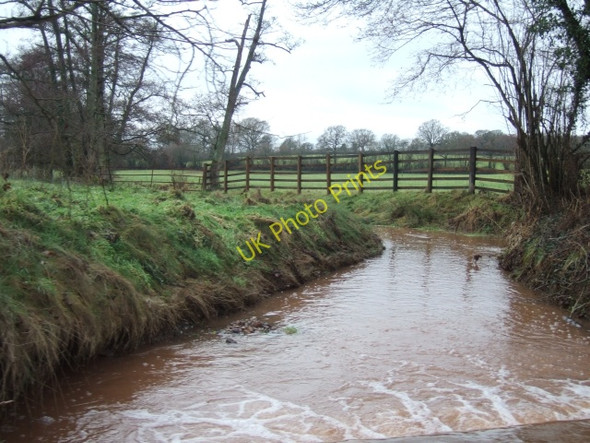 Photo 6"x4" River Weaver near Dulford St Andrew's Wood c2011