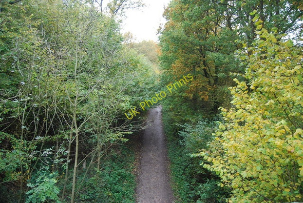 Photo 6"x4" Forest Way Quabrook c2010