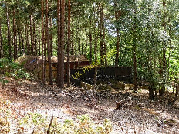 Photo 6"x4" Brownsea Island - Farm In The Woods Sandbanks c2010