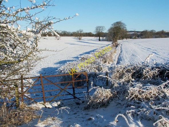 Photo 6"x4" Path to Dalmoak Ardoch\/NS3676 c2010