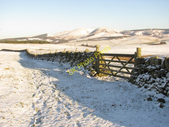 Photo 6"x4" The Old Post Road Hattonknowe c2011