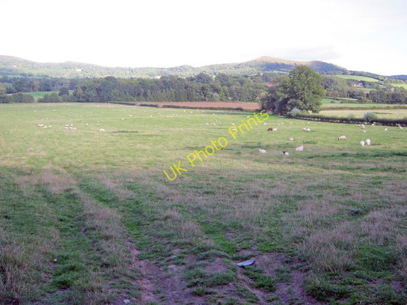 Photo 6"x4" Farmland south of Colwall Colwall c2010