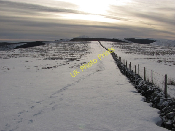 Photo 6"x4" Dyke, Green Knowes Glendevon\/NN9904 c2011