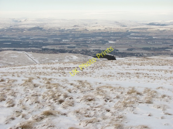 Photo 6"x4" Rough grassland, Steele's Knowe Carlownie Hill c2011