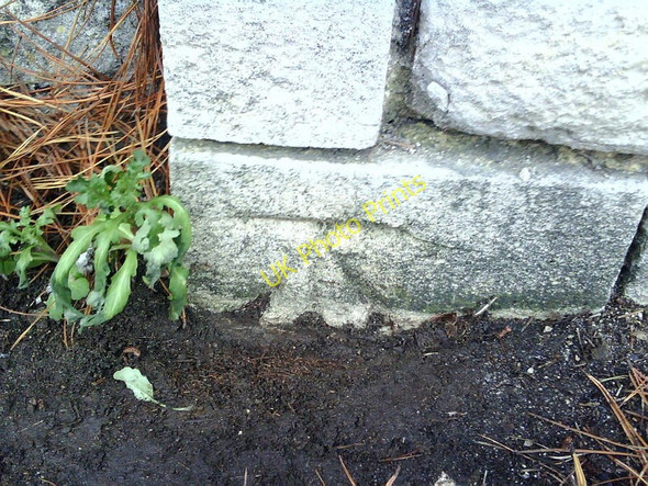Photo 6"x4" Benchmark on wall pier of cemetery, Newstead Road Weymouth\/SY6779 c2010