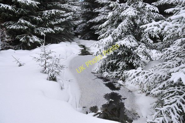 Photo 6"x4" Small stream in Rimsdale Forest Sr\u00f2n an Eirreannach c2011
