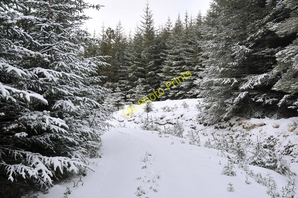 Photo 6"x4" Snow covered forestry road in Rimsdale Forest Sr\u00f2n an Eirreannach c2011