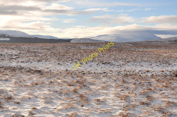 Photo 6"x4" Flow country, Naver Green Loch c2011