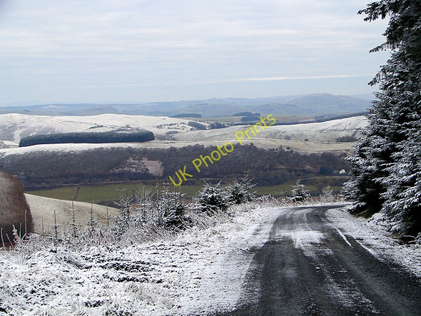 Photo 6"x4" Forestry track at Esgair Ychion Llanifyny c2011