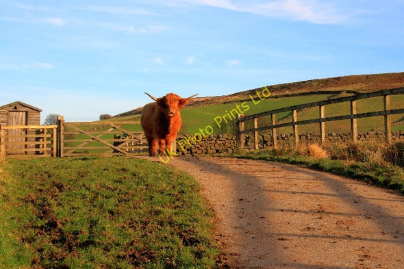 Photo 6"x4" Road from High House Farm Westerdale\/NZ6605 c2008