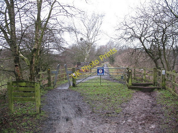 Photo 6"x4" South end of Whitemoor viaduct Congleton c2010