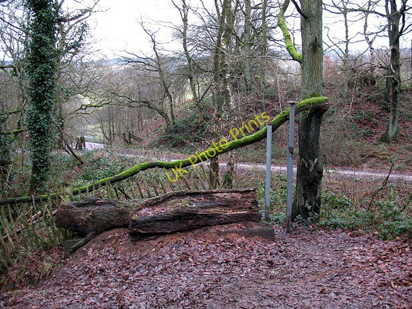 Photo 6"x4" Motorcycle barrier Whitemore c2010