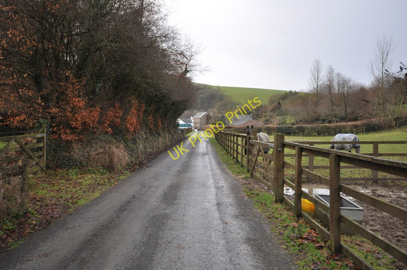 Photo 6"x4" The road which leads to The Old Mill at Blakewell Barnstaple c2011