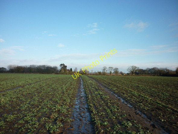 Photo 6"x4" Walking towards Holtby Lane on the outskirts of York Stockton on the Forest c2011