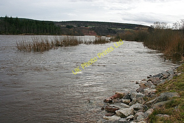 Photo 6"x4" River Spey in Spate Fochabers c2008