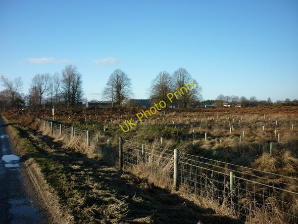 Photo 6"x4" Looking over Towthorpe Common Towthorpe\/SE6358 c2011
