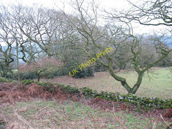 Photo 6"x4" Stone wall Biddulph c2010