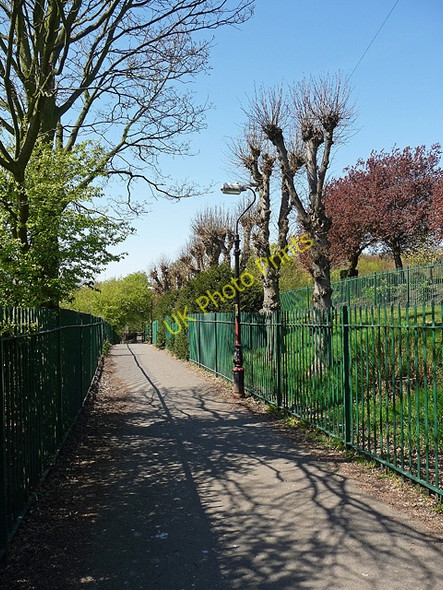 Photo 6"x4" Park, Norwood Grove (5) Streatham c2010