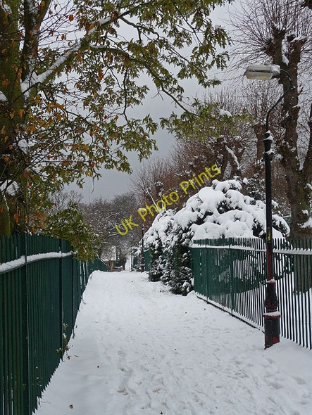 Photo 6"x4" Park, Norwood Grove (6) Streatham c2010