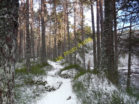 Photo 6"x4" Path by the Blackwater River Gorstan c2011