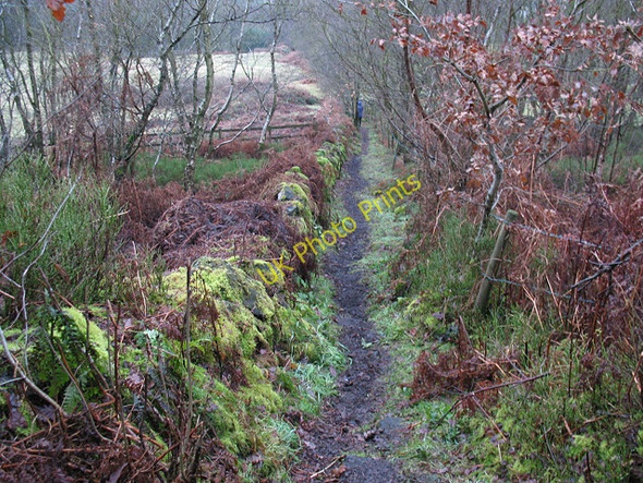 Photo 6"x4" Footpath off Congleton Edge Whitemore c2010
