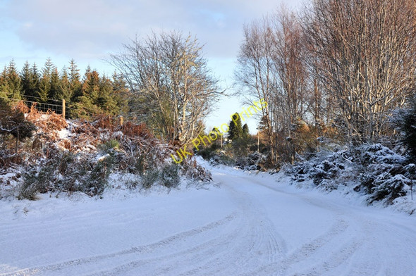 Photo 6"x4" Track to Altnacardich Newtonhill\/NH5743 c2011
