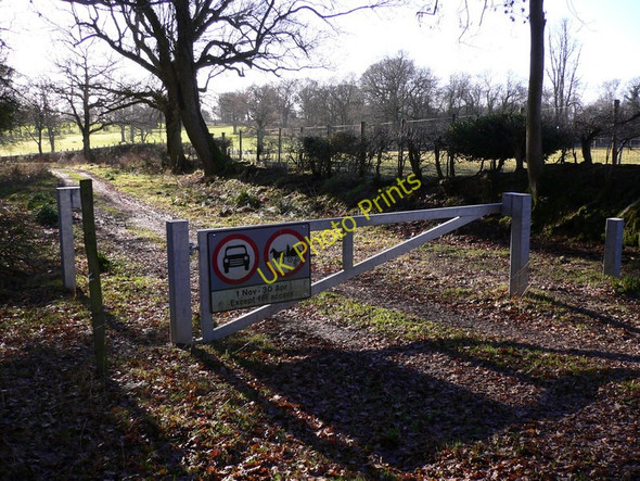 Photo 6"x4" Part-time byway near Alfold Alfold c2011