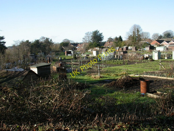 Photo 6"x4" Ringwood, allotments Ringwood\/SU1505 c2011