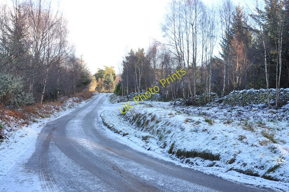 Photo 6"x4" Road from Clunevackie to Kiltarlity Camault Muir c2011