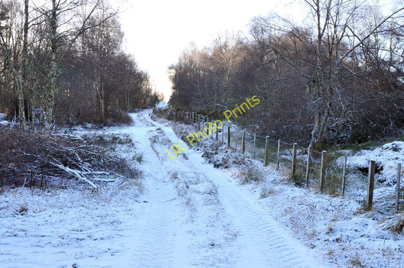 Photo 6"x4" Farm track near Clunevackie Ardendrain c2011