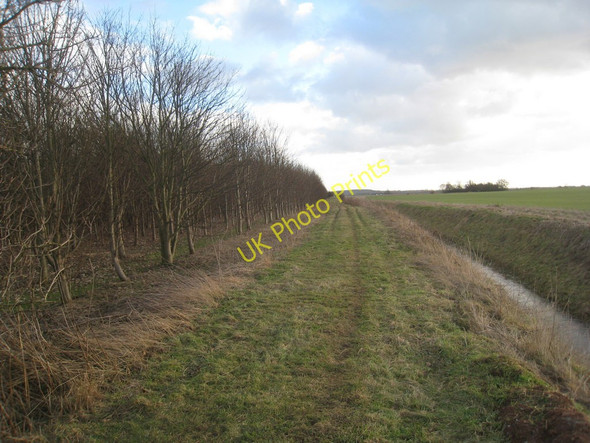 Photo 6"x4" Footpath between the plantation and Kelfield Catchwater Kelfield\/SE8201 c2011