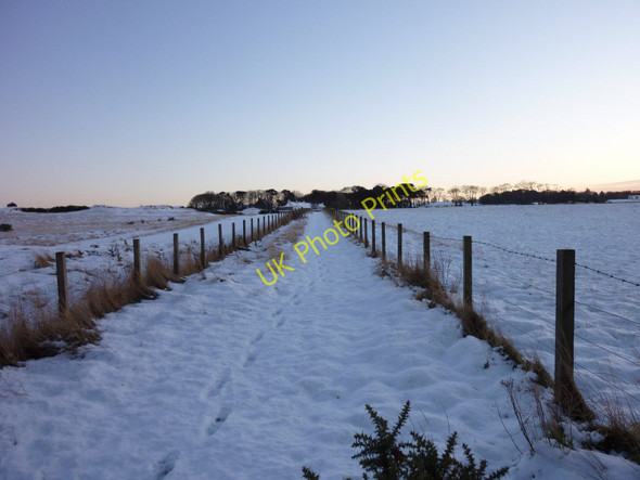 Photo 6"x4" Kinkell Braes St Andrews c2011