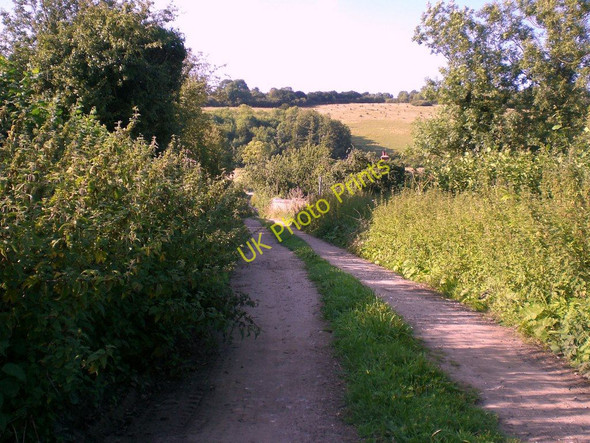Photo 6"x4" Track near New Barn Farm Abinger Hammer c2009