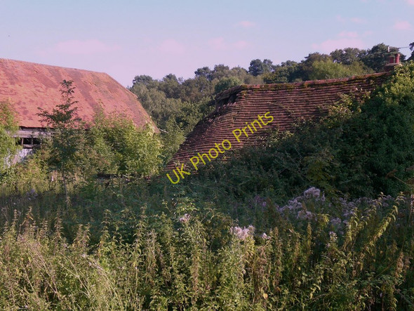 Photo 6"x4" Rooftops at New Barn Farm Abinger Hammer c2009