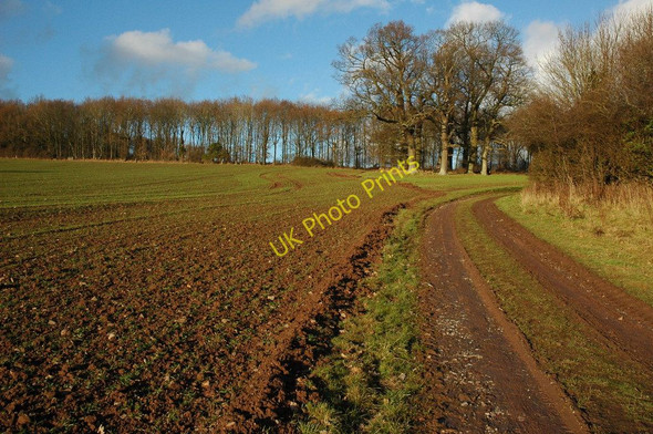 Photo 6"x4" Track and bridleway Bishopstone\/SO4143 c2011