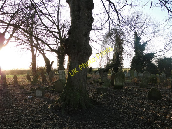 Photo 6"x4" Sutton St Edmund churchyard in the late afternoon Sutton St Edmund c2011