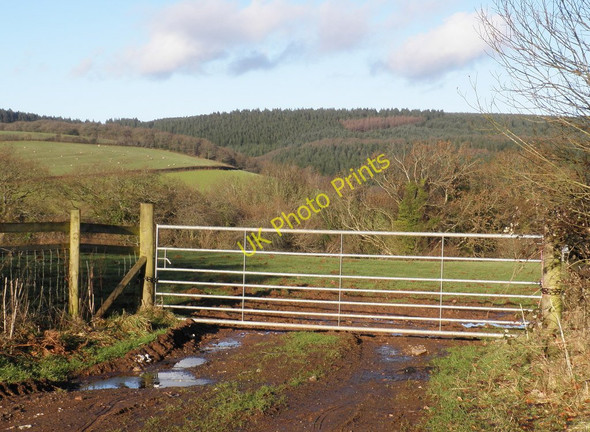 Photo 6"x4" View towards Monkham Wood Churchtown\/SS9738 c2011