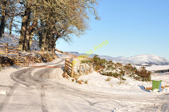 Photo 6"x4" Farm road to Balnaglaick Errogie c2011