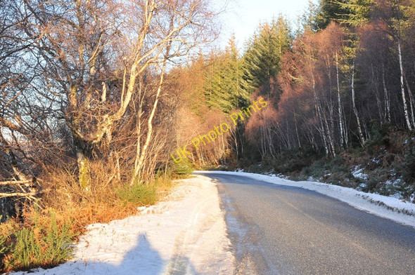 Photo 6"x4" B852 along the shore of Loch Ness Bunloit c2011