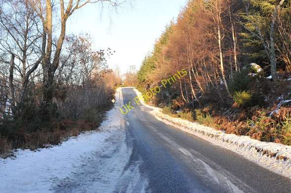 Photo 6"x4" B852 along the shore of Loch Ness Inverfarigaig c2011