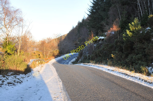 Photo 6"x4" B852 along the shore of Loch Ness Strone\/NH5228 c2011