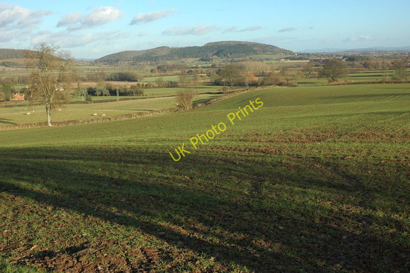 Photo 6"x4" Herefordshire countryside Bishopstone\/SO4143 c2011
