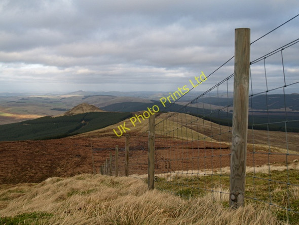 Photo 6"x4" Fence, Greatmoor Hill Greatmoor Hill\/NT4800 c2008