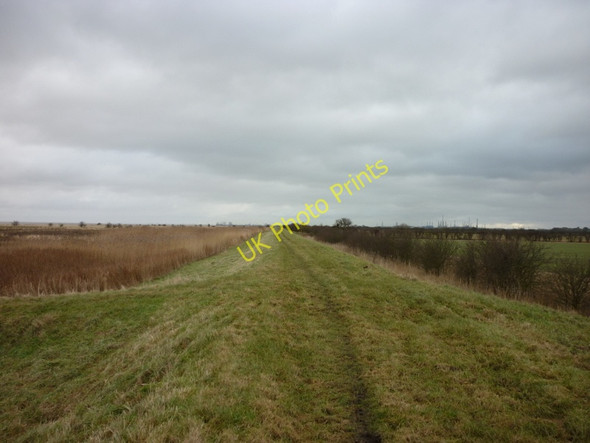 Photo 6"x4" Walking along the south bank of the Humber North End\/TA1022 c2011
