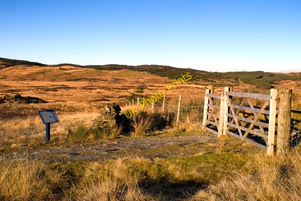 Photo 6"x4" Forest gate and boundary fence Satterthwaite c2011