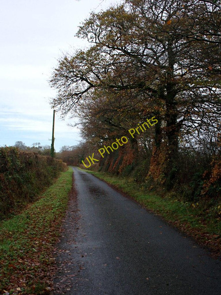Photo 6"x4" November Lane Grinacombe Moor c2010