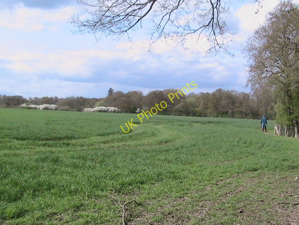Photo 6"x4" Fields east of Okewood church Okewood Hill c2006 P1