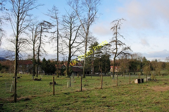 Photo 6"x4" Ingleby Manor Farm Ingleby Greenhow c2011